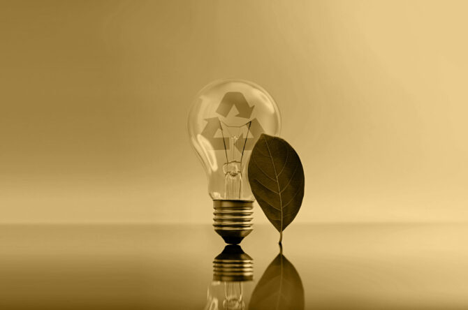 Green light bulb with leaf elements. Clean energy, sustainability, green innovation, environmental responsibility and Renewable concept